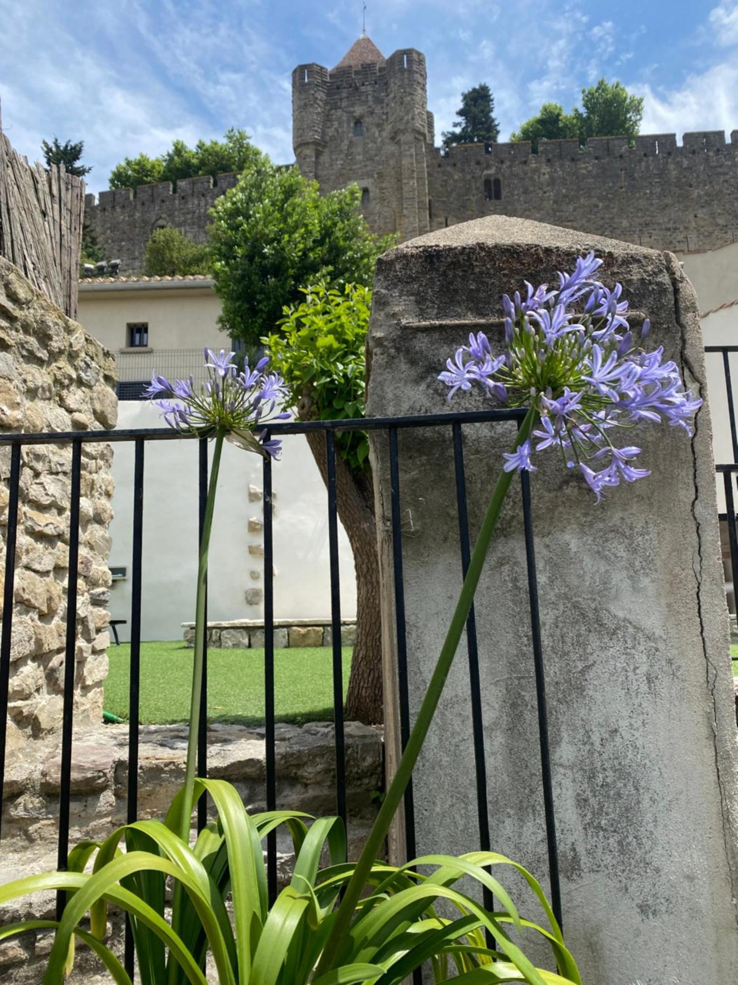 La Maison De La Tour Pinte Carcassonne Exteriér fotografie